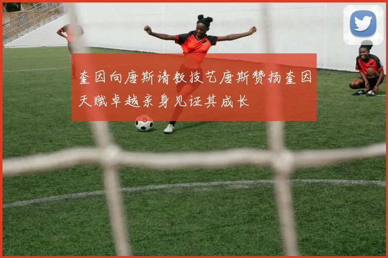 奎因向唐斯请教技艺唐斯赞扬奎因天赋卓越亲身见证其成长